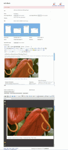 bookleteer-html-preview bookleteer-html-preview